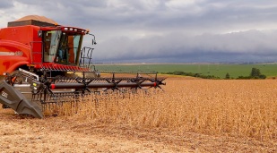 StoneX vê aumento de 5,6% na nova safra de soja do Brasil