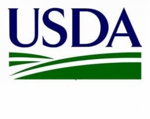 USDA reduz produção de soja para o Brasil