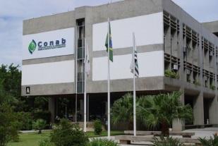 Conab realiza cortes na produtividade da Safra 23/24