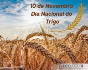 Dia Nacional do Trigo