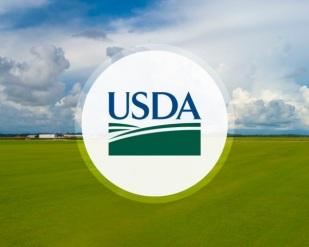 Relatório de Oferta e Demanda do USDA