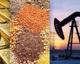 Panorama dos mercados de commodities agrícolas