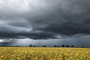 Possível retorno do La Niña? Veja como fica o tempo até agosto