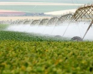 ÁREAS IRRIGADAS  NO RIO GRANDE DO SUL