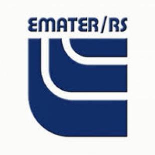 RELATÓRIO DE SAFRAS - EMATER/RS-ASCAR