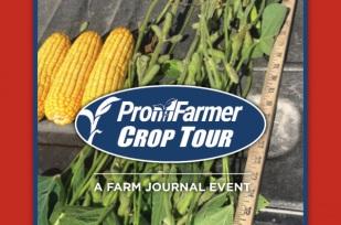 Estimativas Pro Farmer Crop Tour 
